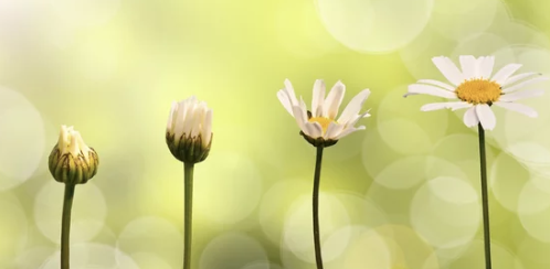 Nincs szükséged motivációra. Struktúrára van szükséged.