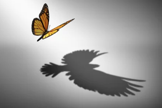 Amit 20 év alatt megtanultam